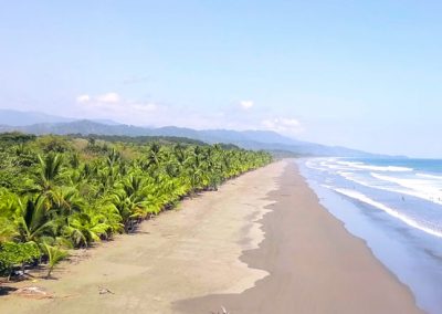 Endless Pristine Beaches